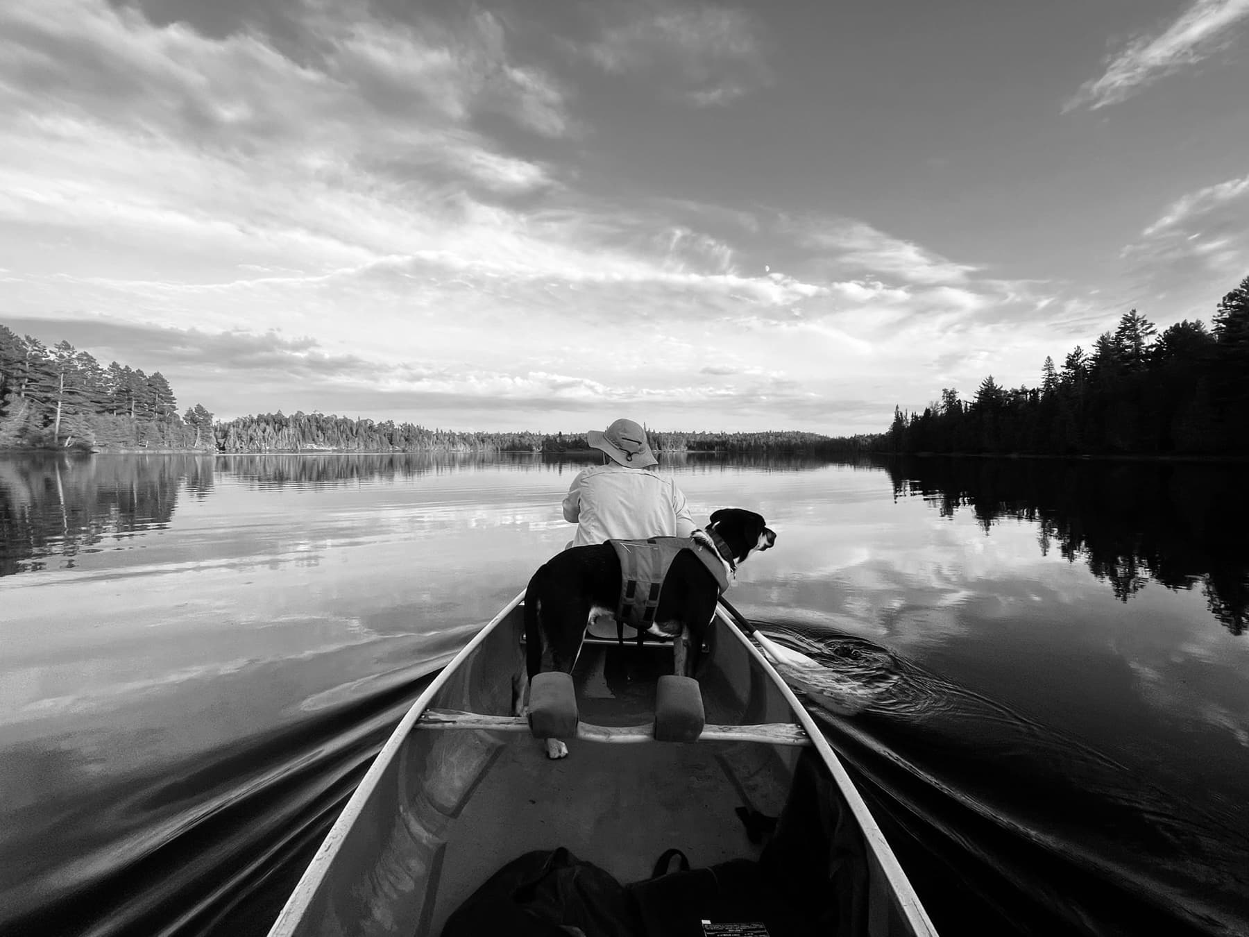 A person and a dog in a canoe on a still wilderness lake